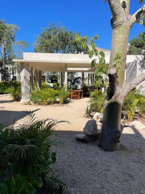 Appartement Sweet With Private Pool Tulum